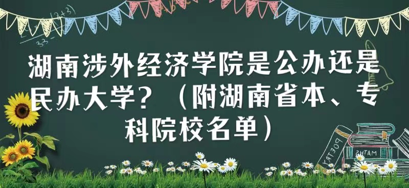 湖南涉外经济学院是公办还是民办大学（湖南省本、专科院校名单）-广东技校排名网