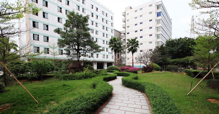 校园绿化还是不错的