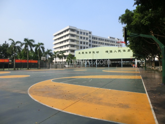 室外篮球场和室内篮球场