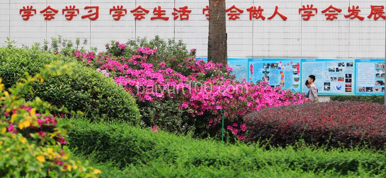 学会学习学会生活学会做人学会发展