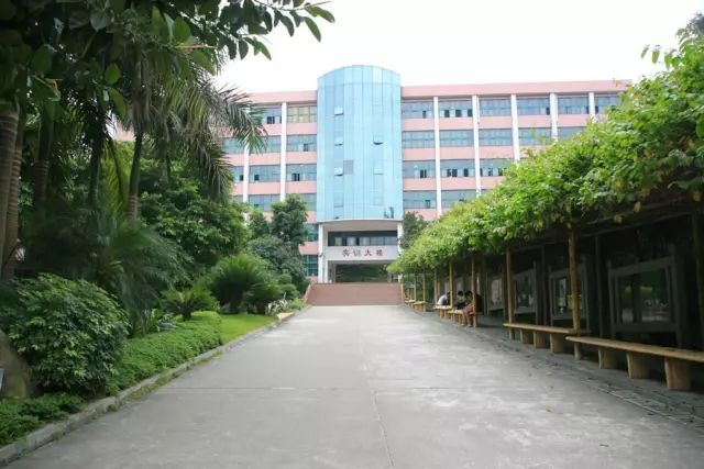 学在省电商丨不负最美校园，不负青春时光