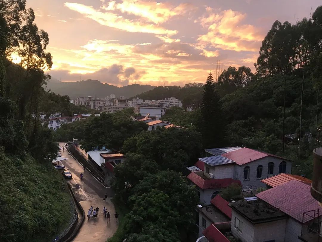 隐藏在城市森林中的王国——带您领略涉外宿舍的独特魅力！