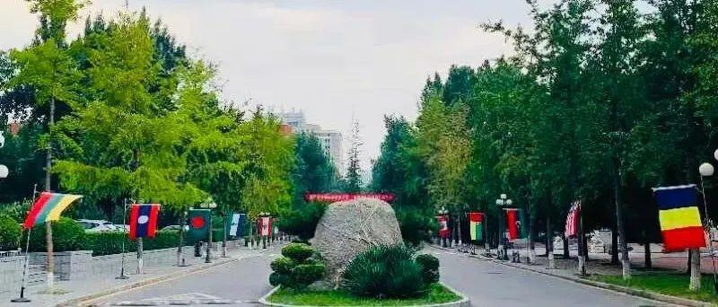 中国大学专业排行榜（2022中国大学专业排行榜）-广东技校排名网