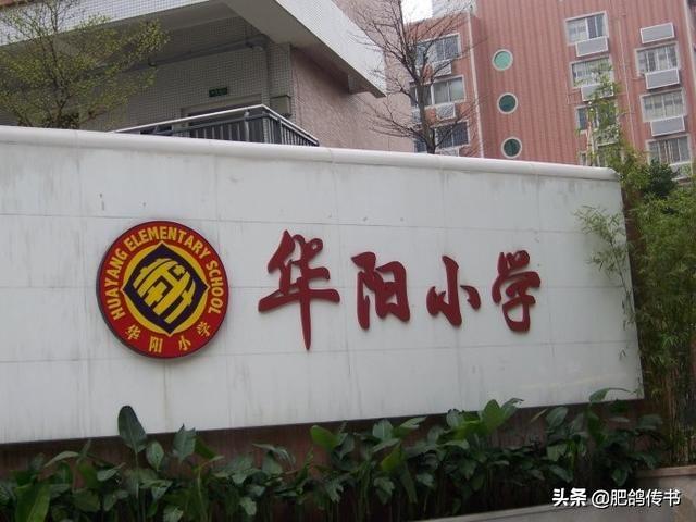 广州市最好的十所小学-广州各区公办小学名单-广东技校排名网