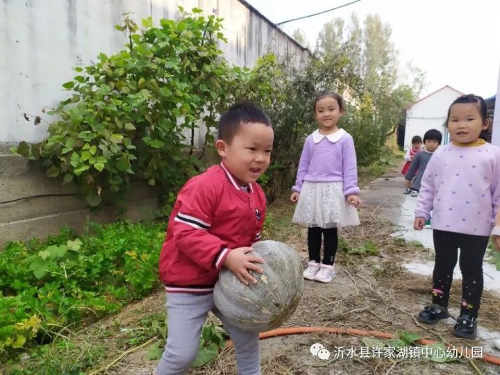 沂水县许家湖镇中心幼儿园2022年秋季招生简章 附：招生计划、报名方式及时间-广东技校排名网