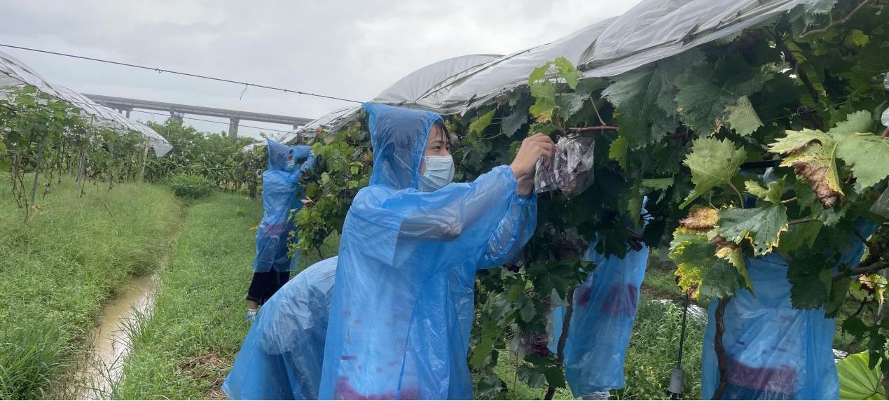 广东南方职业学院（附招生计划）-广东技校排名网