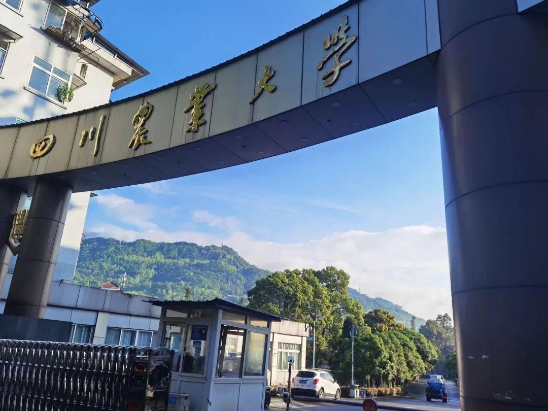 四川农业大学的王牌专业排名（附招生计划）-广东技校排名网