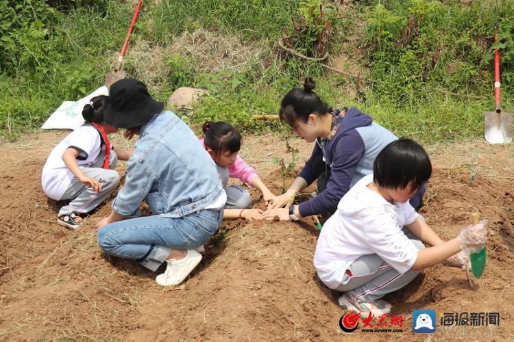 诸城学校推荐（附潍坊中专学校排名）-广东技校排名网