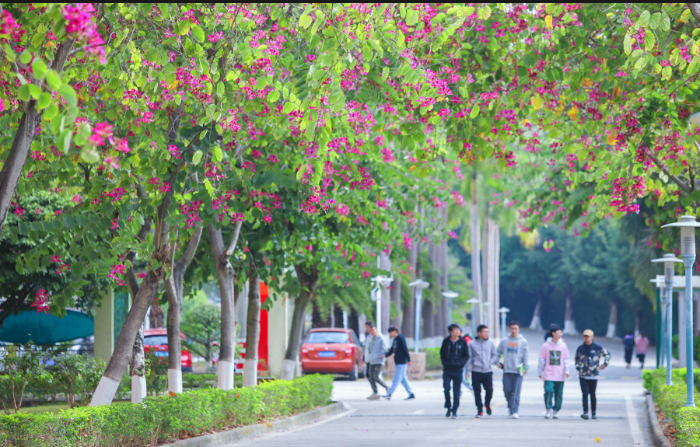 广州南洋理工学院（附3+招生计划）-广东技校排名网