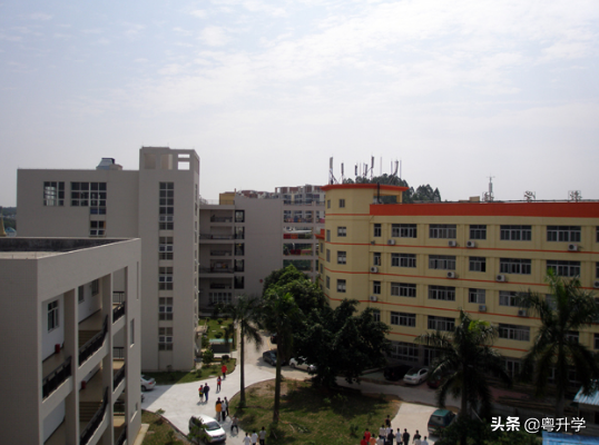 广东体育大学录取分数线是多少-广东技校排名网