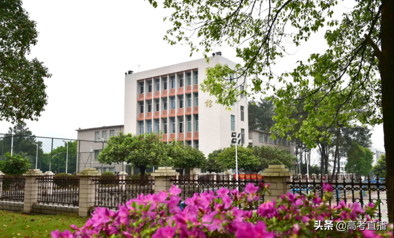 广东最容易考的公办大学-1