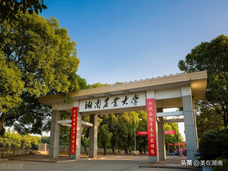 湖南大学哪个比较好-湖南本科、专科排名-1