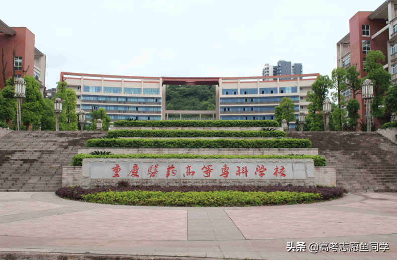 医学大专院校有哪些较好-医学类高职排名-1